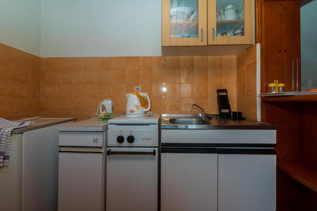 Kuchyň nebo kuchyňský kout v ubytování Apartment Margarita
