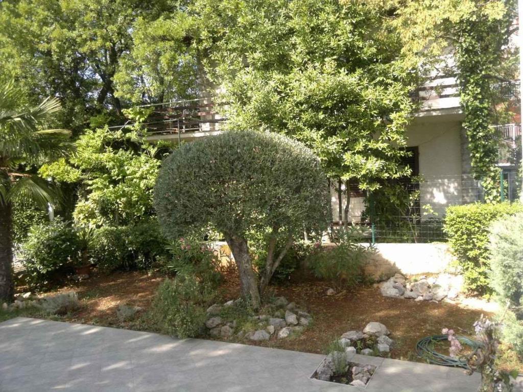 Fotografia z galérie ubytovania Apartment in Njivice/Insel Krk 13324 v Njivice
