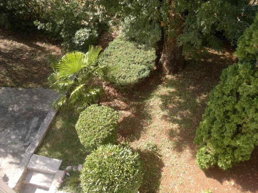 Fotografia z galérie ubytovania Apartment in Njivice/Insel Krk 13324 v Njivice