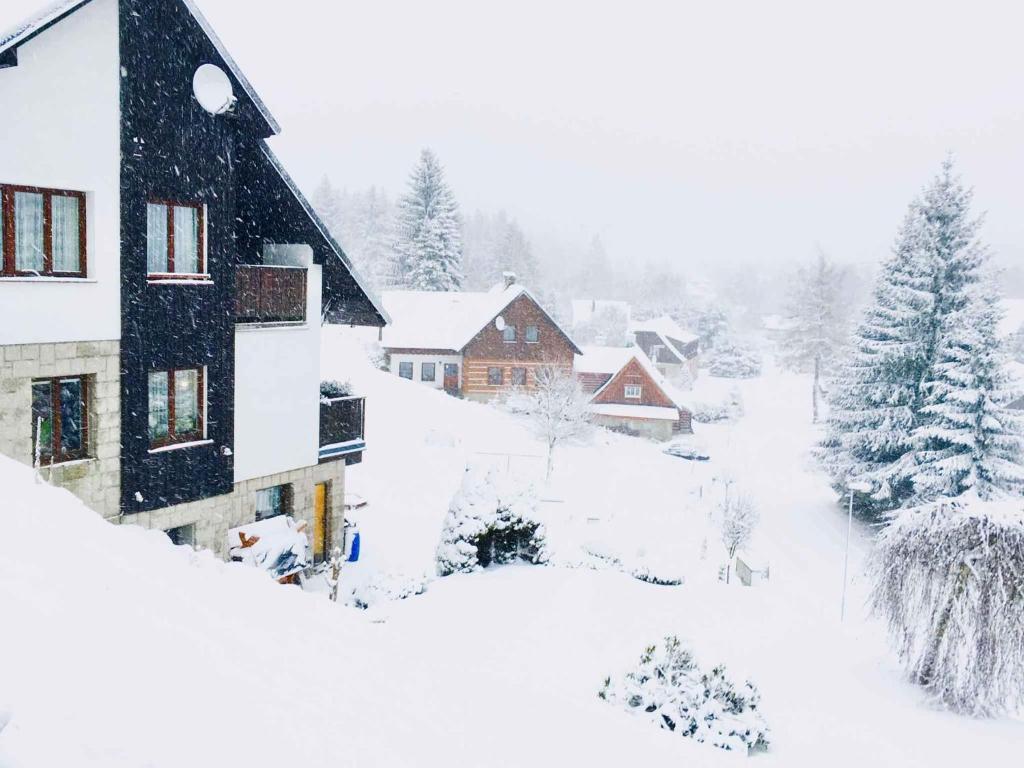 Apartments in Harrachov/Riesengebirge 2300 v zimě