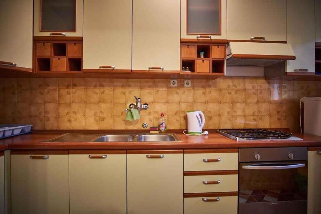 Kuchyňa alebo kuchynka v ubytovaní Apartment in Vinisce 7417