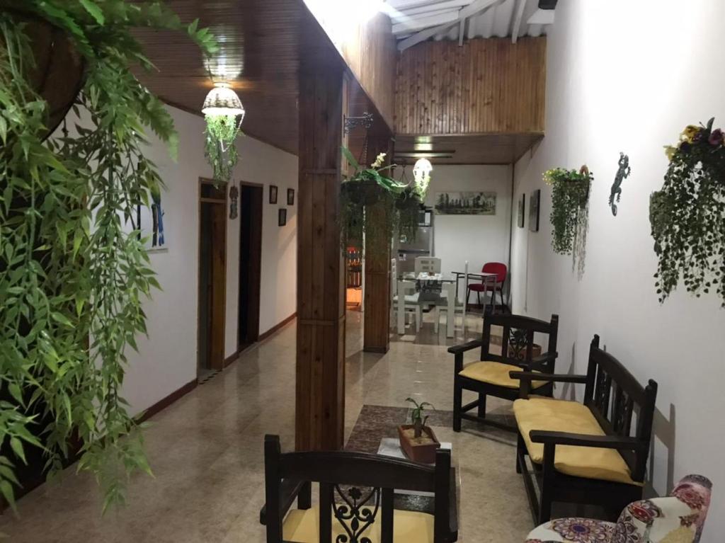 a hallway with chairs and tables and plants at Hermosa Casa en el centro de Santa Rosa de Cabal, sobre vía principal a 3 cuadras de la Plaza in Santa Rosa de Cabal