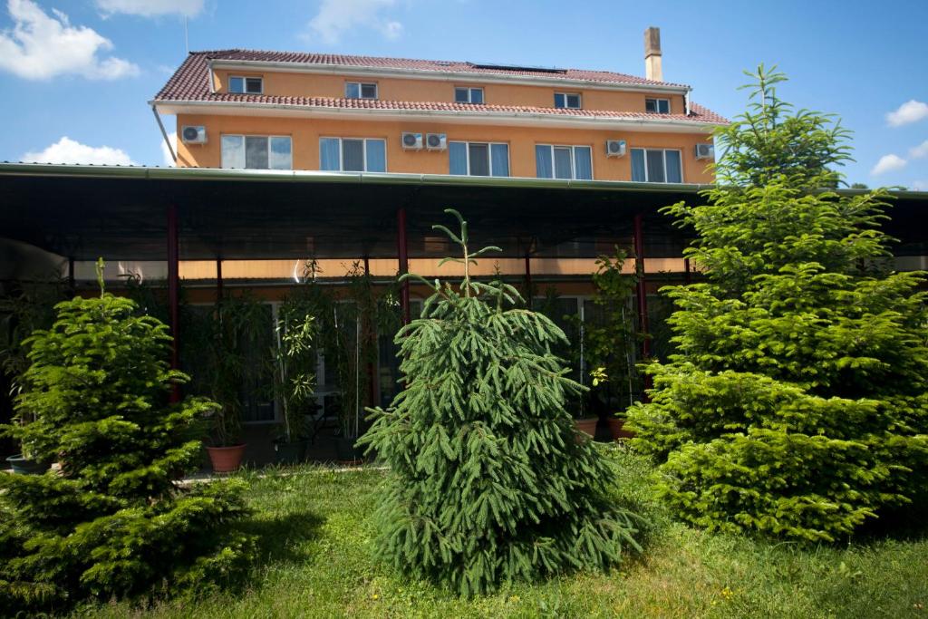 Zahrada ubytování Hotel Terra