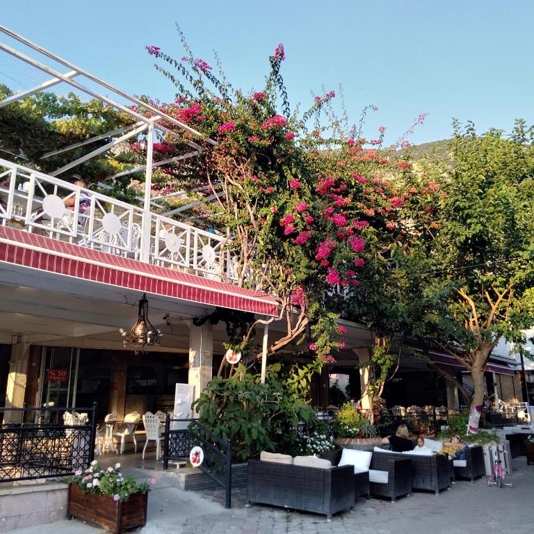 Zahrada ubytování The Kumsal Hotel Oludeniz