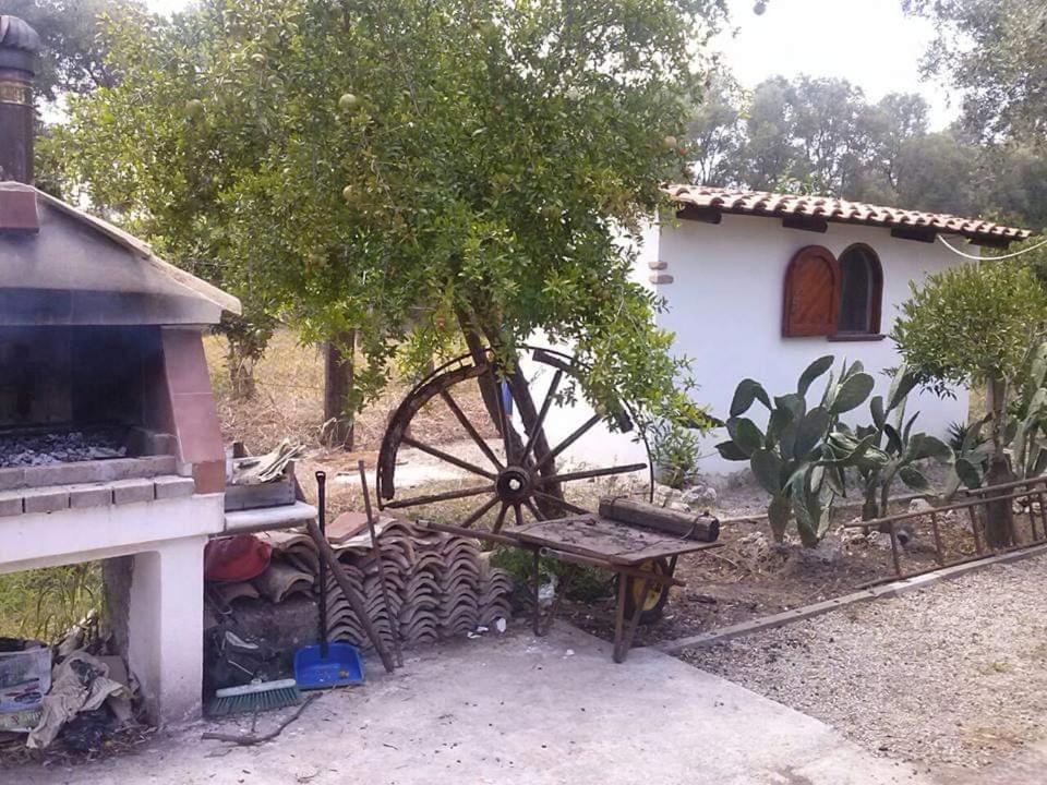 Vonkajšia záhrada v ubytovaní L' Agrumeto