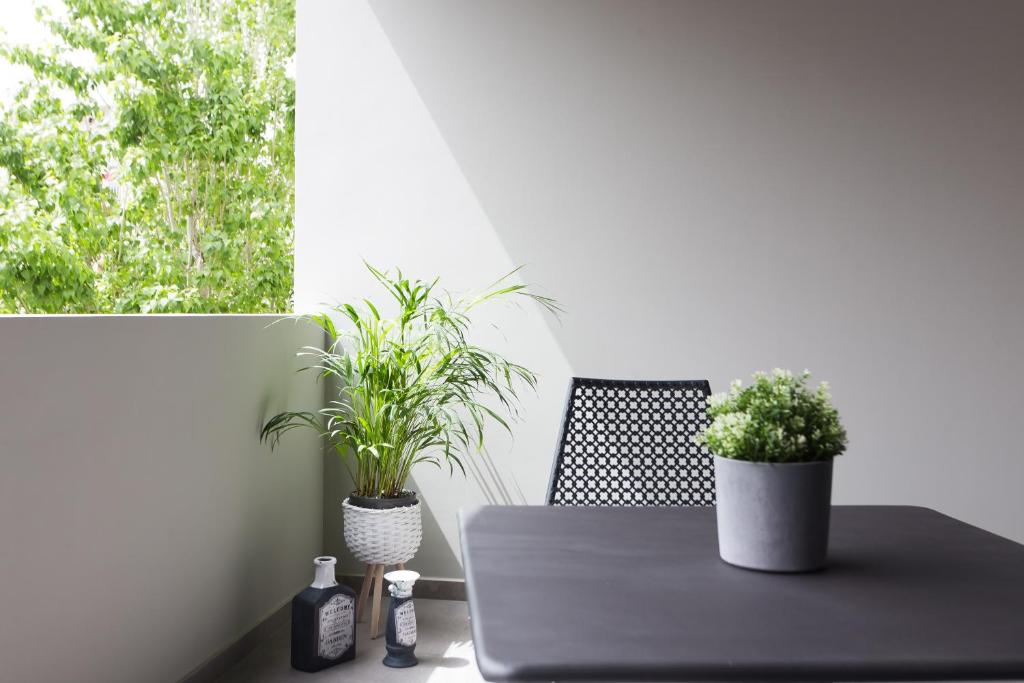 A garden outside 12 Reasons Why Metaxourgeio