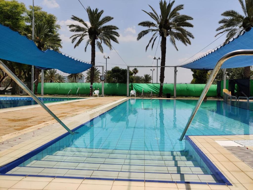 a swimming pool with palm trees in the background at Kibbutz Tiratzvi - Country Lodging in Tirat Ẕevi
