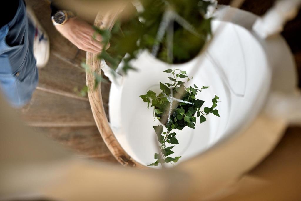 a person holding a pot with a plant in it at Urban Walls in Brussels