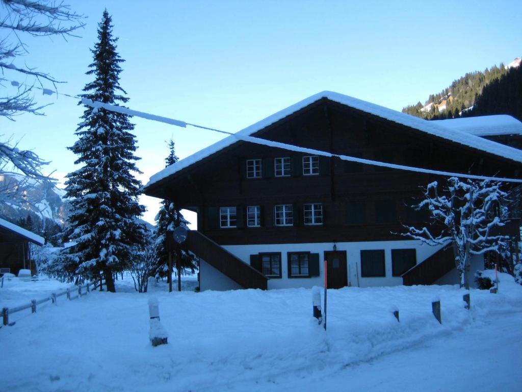 Schweiz ,Lenk Ferienwohnung,Kinderfreundl,Seniorenfreundlich v zimě