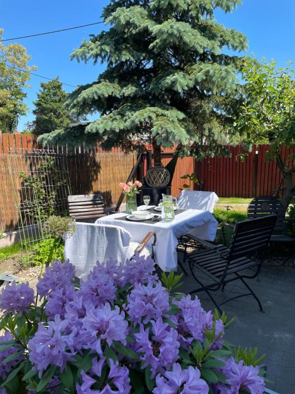 Vonkajšia záhrada v ubytovaní Apartament2 Tri-City Oliwa Ogród, prywatne wejście