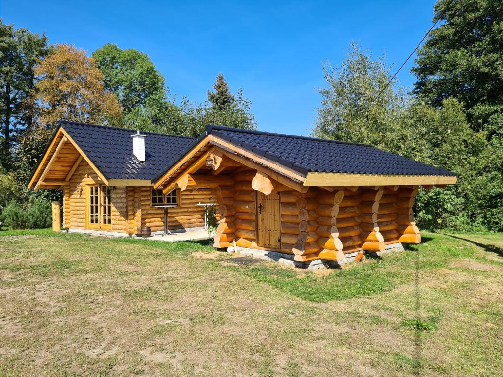 een blokhut met een zwart dak bij Chalet am See in Bad Brambach