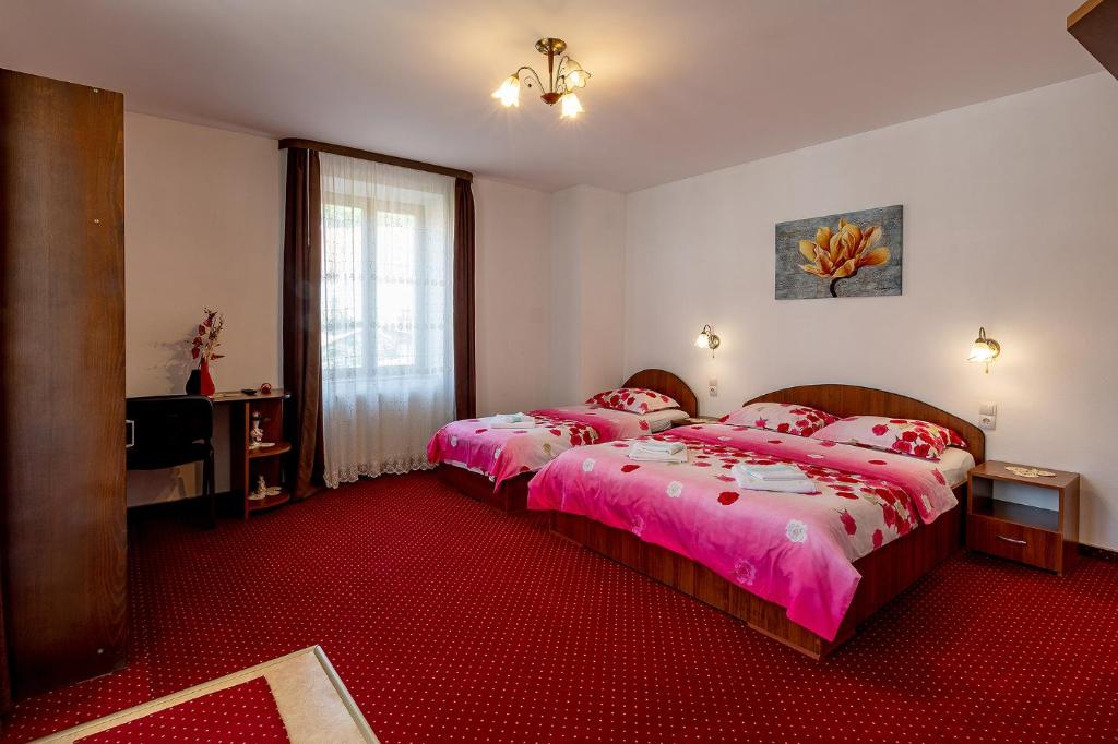 Casa Steluta - Superior Apartment