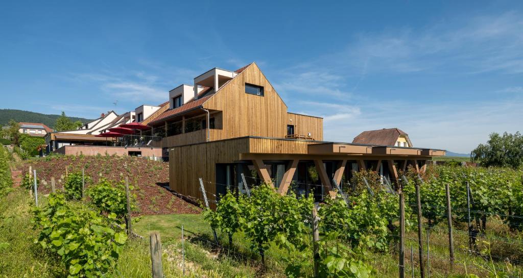Příroda nedaleko hotelu