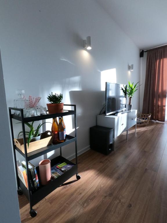 a living room with a black shelf with potted plants at M37 x Fabryczna in Limanowa