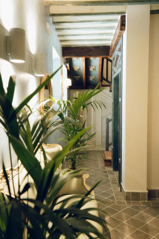 La Corrala del Realejo - 11