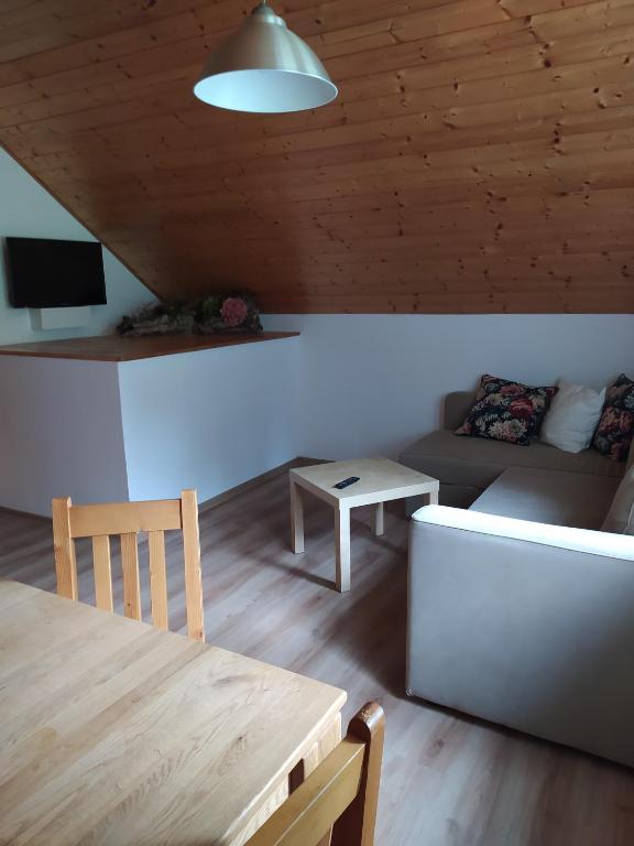 TV a/nebo společenská místnost v ubytování U Tomíčků