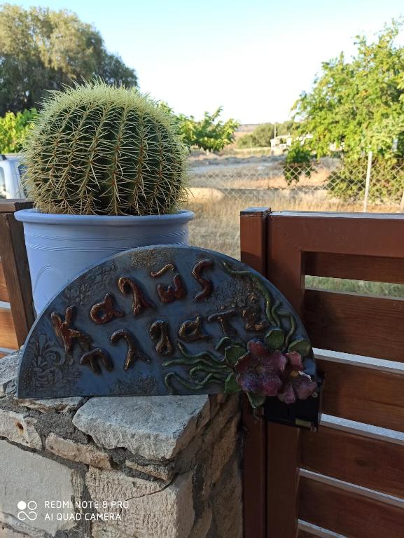 um cacto num vaso ao lado de uma planta em Cactus Home em Kalamaki