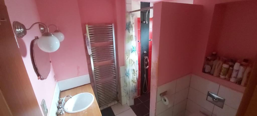 Koupelna v ubytování Chata u rybníka