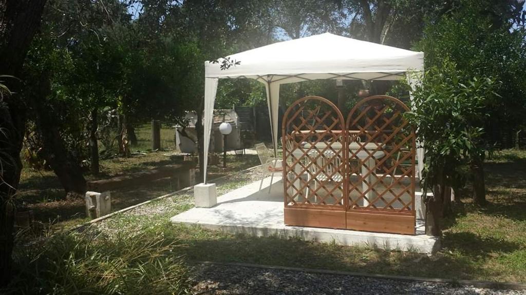 Vonkajšia záhrada v ubytovaní L' Agrumeto