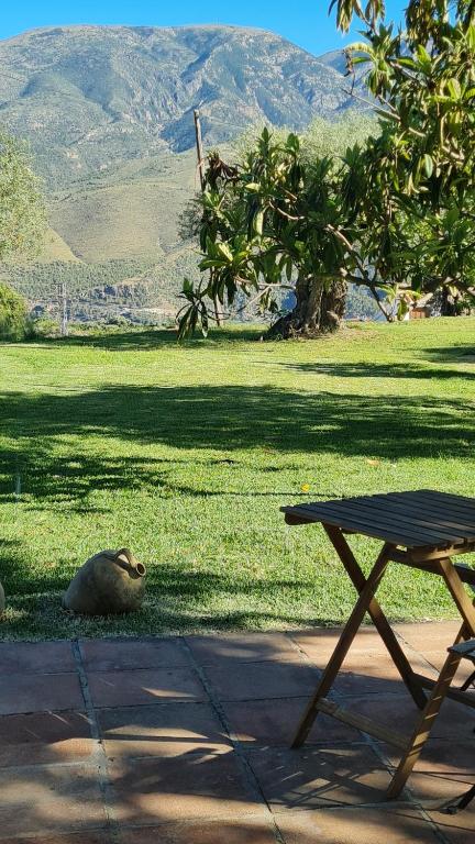 a dog laying on the grass next to a picnic table at Tropical Studio in Órgiva
