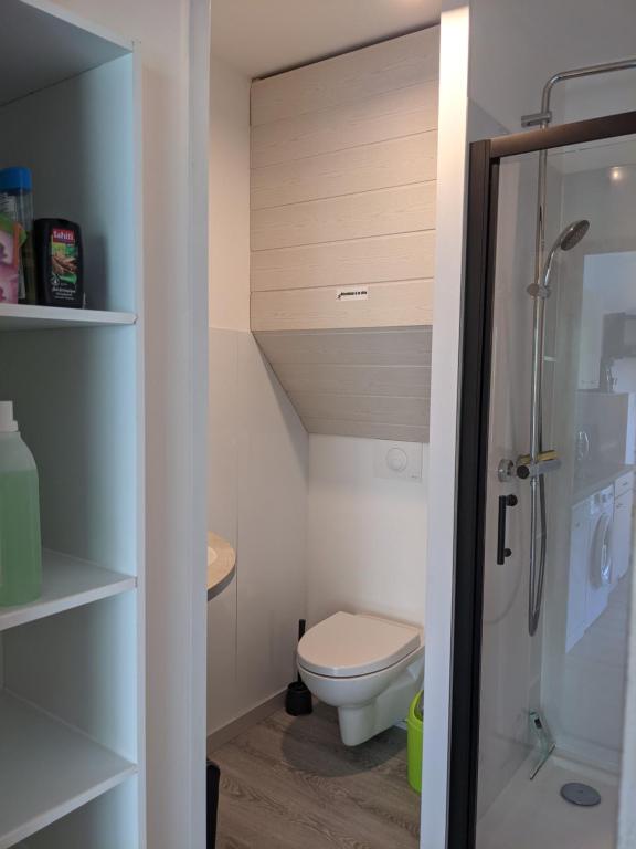 Koupelna v ubytování Andemu Studio cabine 2 à 4 personnes Barèges