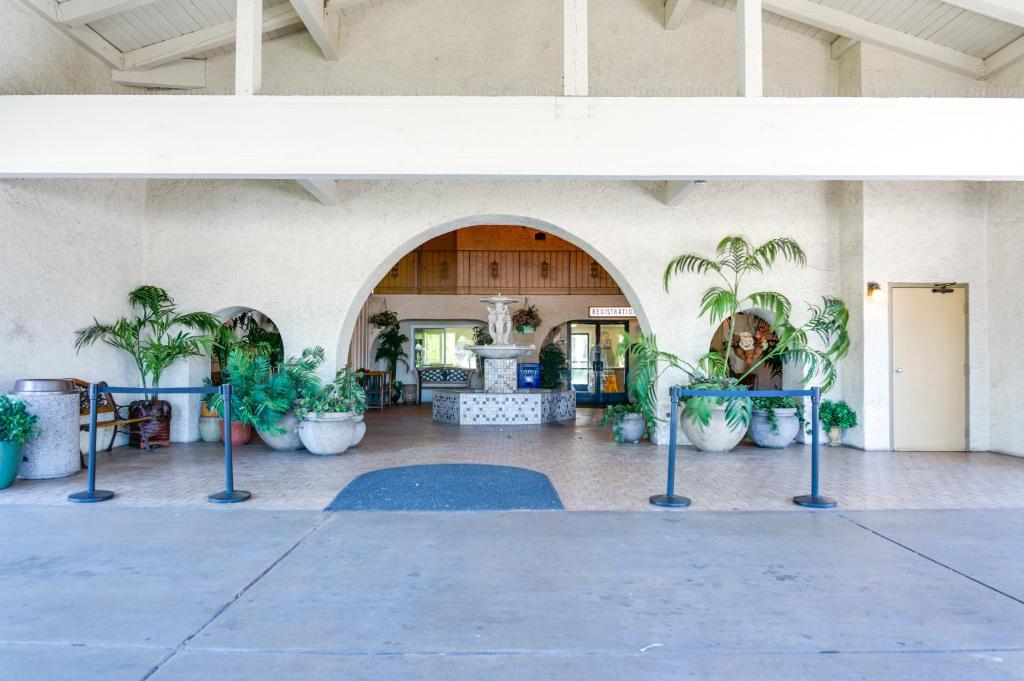 サンディエゴにあるカリフォルニア スイーツ ホテルの鉢植えの植物が多いロビー