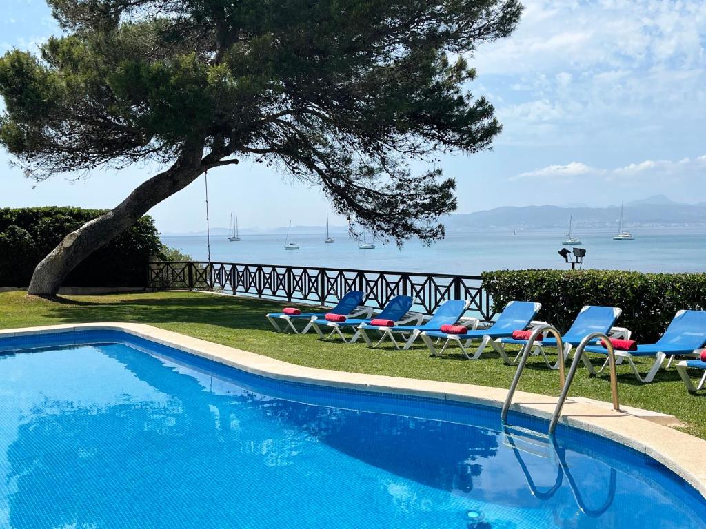 una piscina con sedie, un albero e l'acqua di Villa Kamok a Molinar de Levante