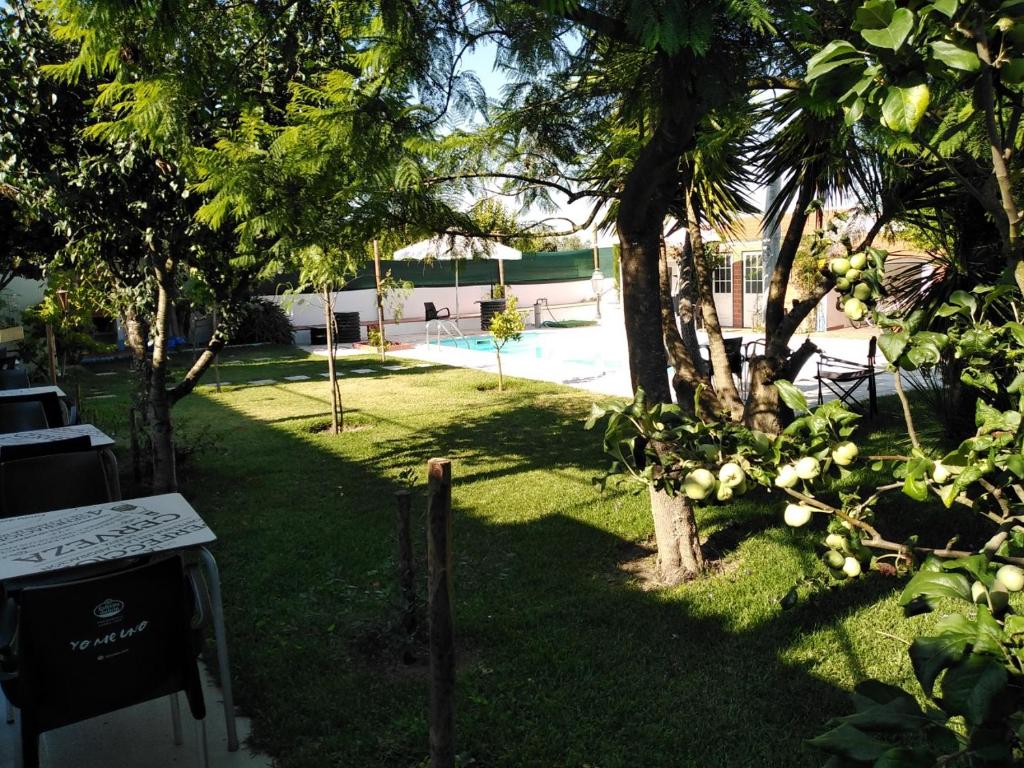 un patio sombreado con árboles y una piscina en MIX inn en Vendas Novas