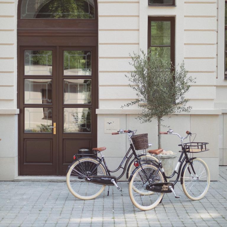Attività di ciclismo presso l'affittacamere o nelle vicinanze