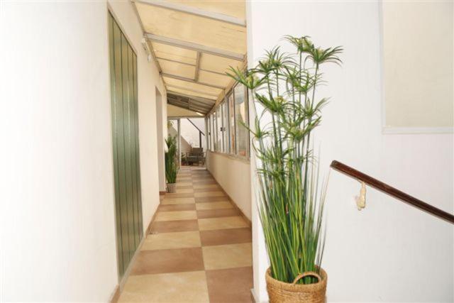 a hallway with potted plants in a building at Real Ros Hostel in Rosario