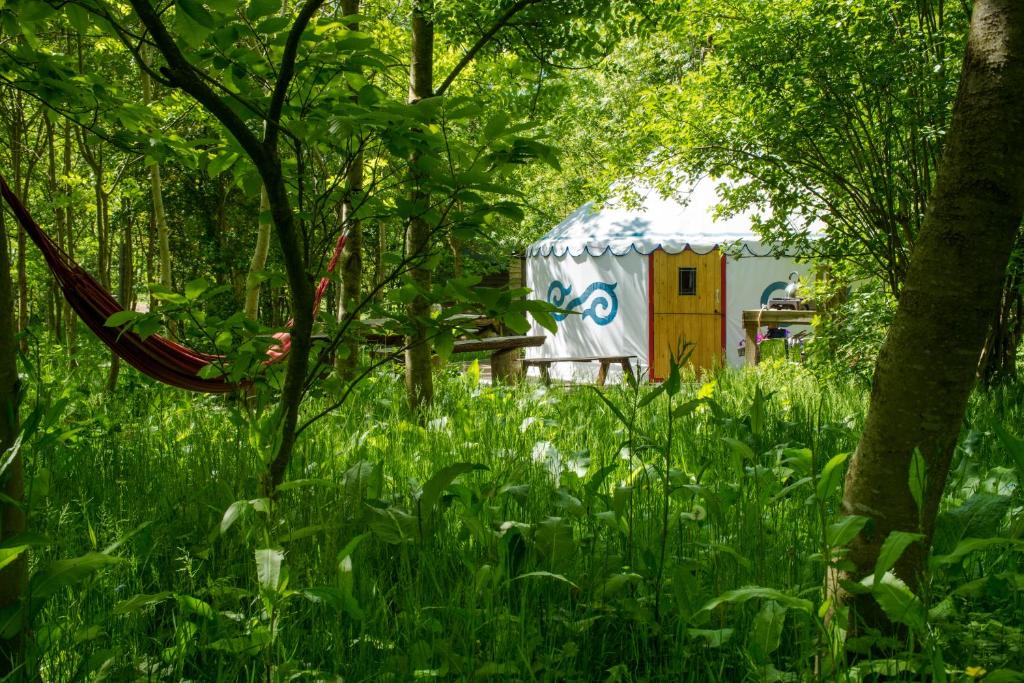 Plush Tents Glamping in Chichester, West Sussex, England