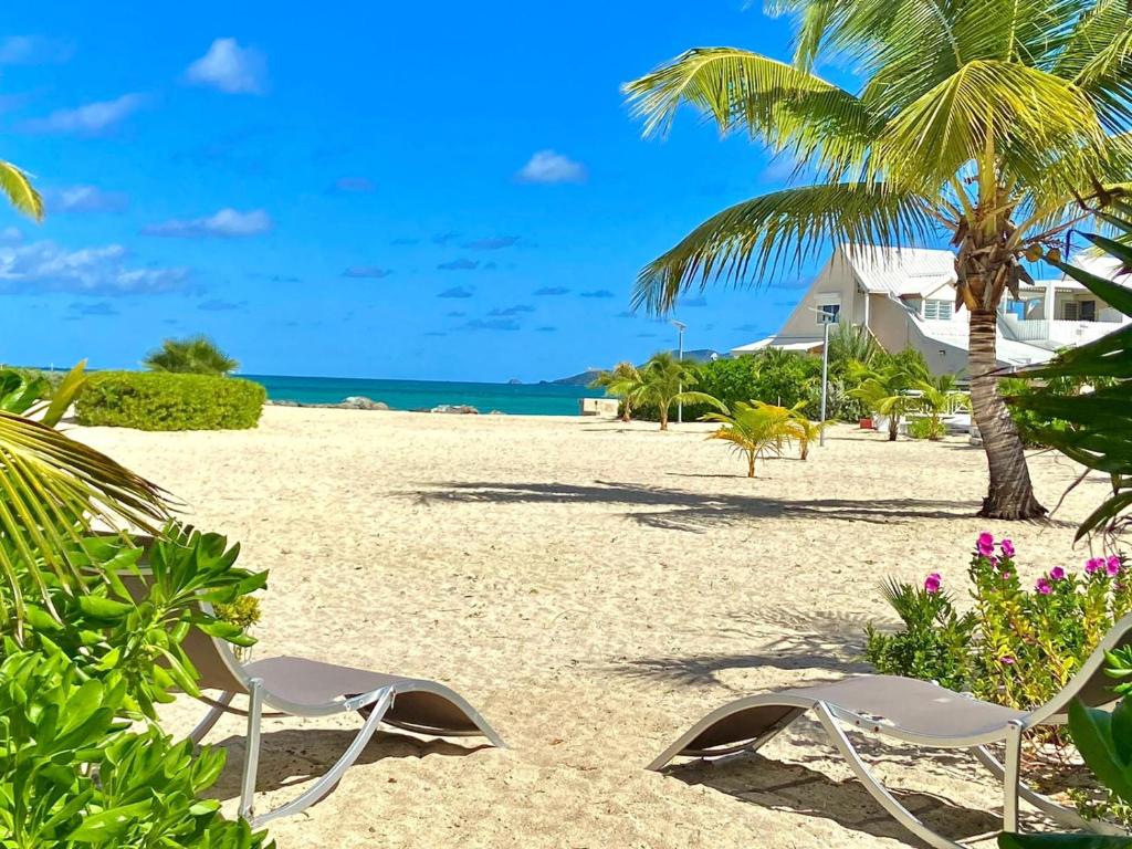 Dos sillas en una playa con una palmera y el océano en MAISON SUR LA PLAGE LA BOHÈME 2 Chambres Piscines tennis, en Saint Martin