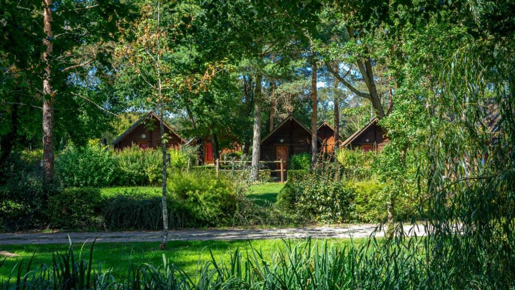 a house in the middle of a yard with trees at Le Domaine du Cerf Blanc in Carentoir