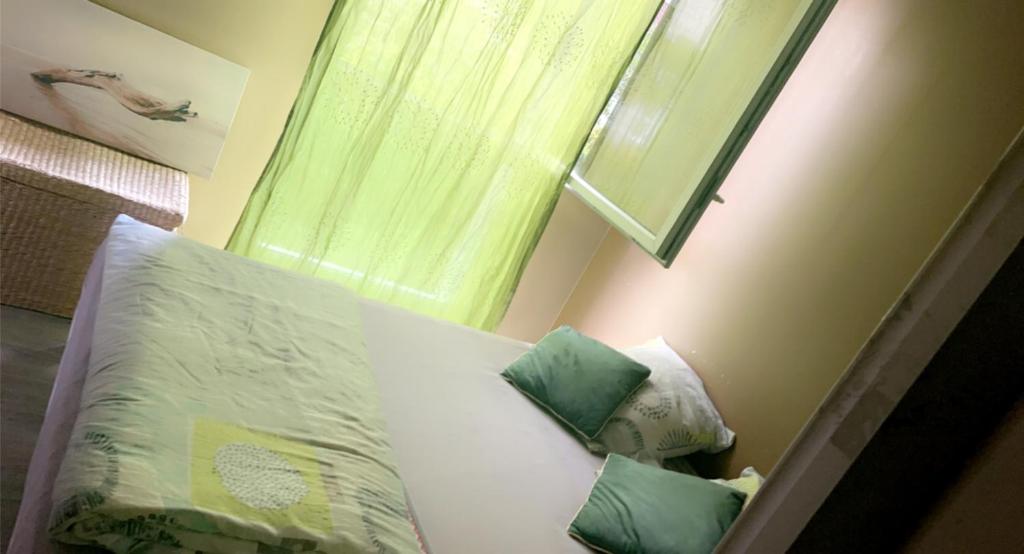 a bedroom with a bed with green pillows and a window at Chambre et salle de bain privée proche Paris et Disney in Limeil-Brévannes