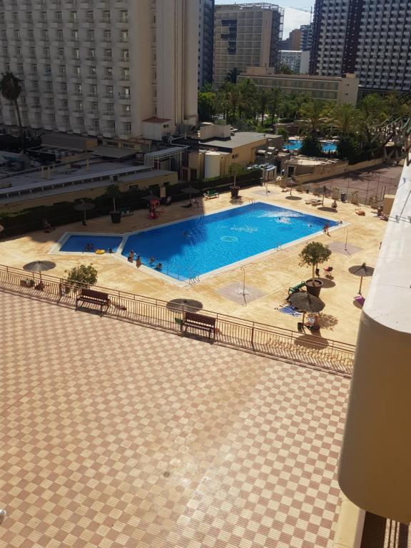 a view of a large swimming pool in a city at Acuarium 3-Fincas Benidorm in Benidorm