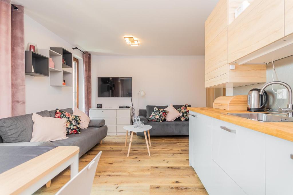 Kuchyň nebo kuchyňský kout v ubytování APARTAMENTY MIERZEJA - STEGNA PARK STUDIO, 500 m od plaży