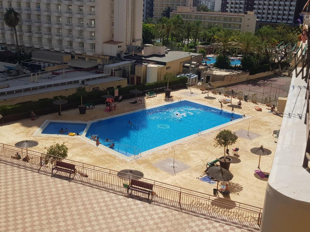 Acuarium 3-Fincas Benidorm, Benidorm – Precios actualizados 2023