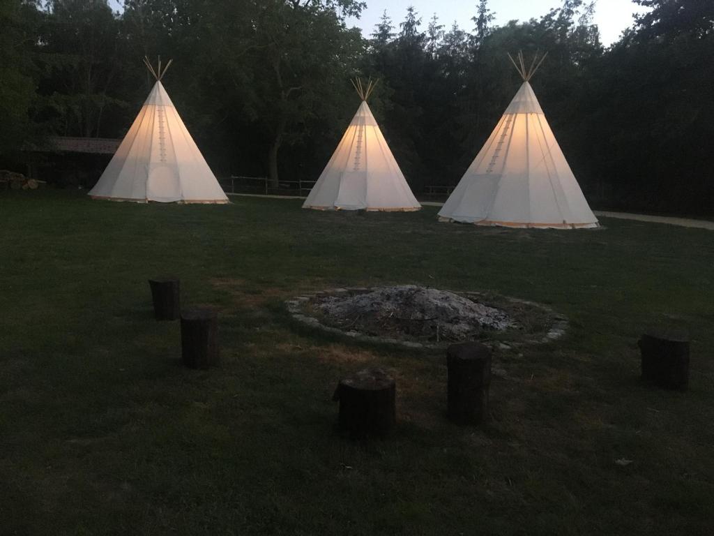 Zahrada ubytování Domaine de Carnin