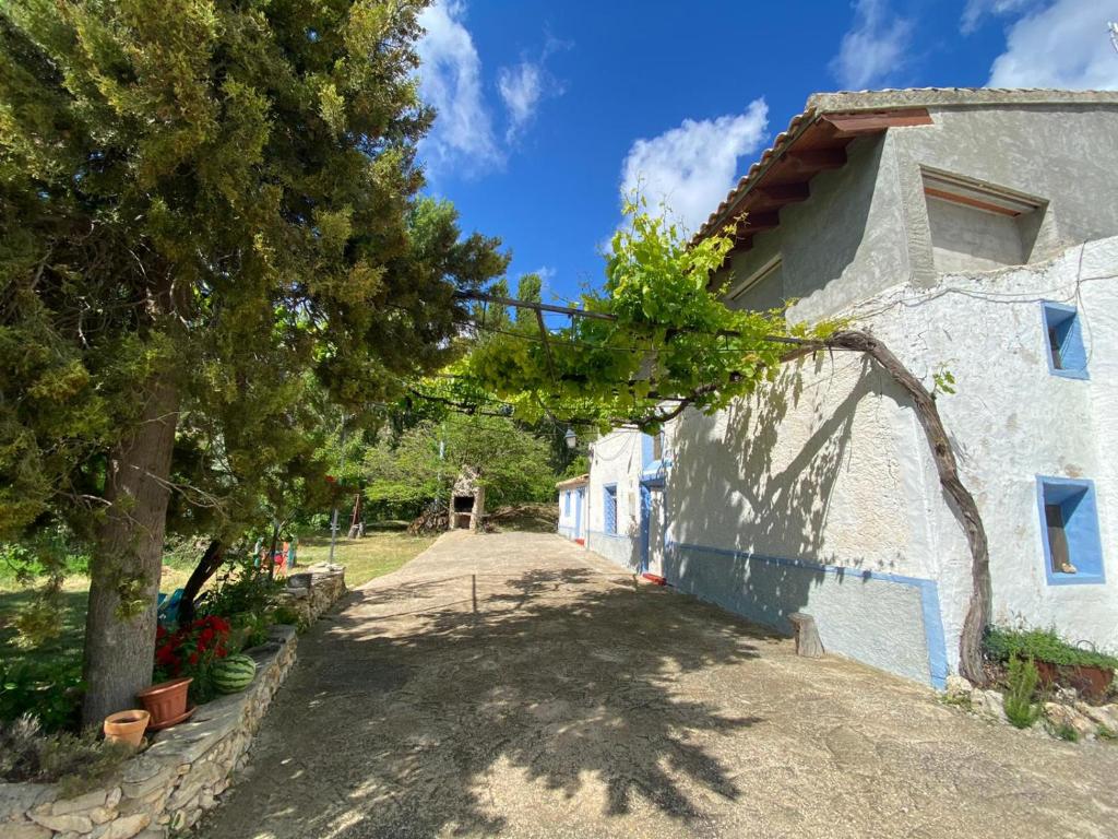 a house with a tree next to a building at Alojamiento Casa Veronica in Moratalla