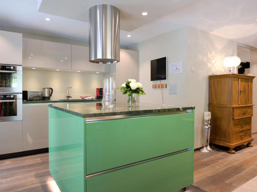 Kuchyň nebo kuchyňský kout v ubytování Apartment Dione by Interhome