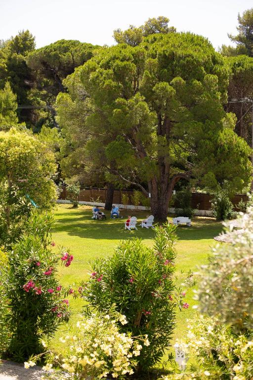 a park with a tree and people laying in the grass at Mandraki Village Boutique Hotel in Koukounaries