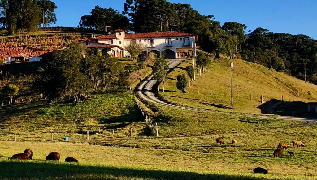 a house on a hill with horses grazing in a field at Pousada Fazenda da Invernada in Urubici
