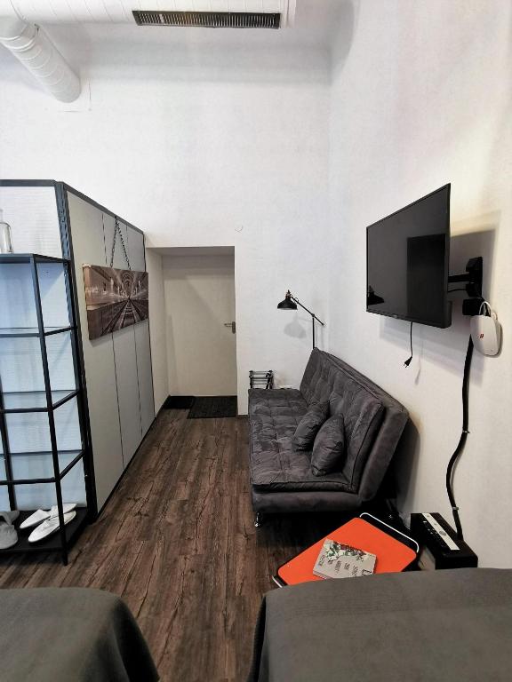 Televízia a/alebo spoločenská miestnosť v ubytovaní Industrial Studio am Neuen Dom