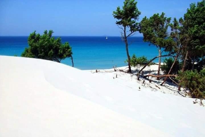 una playa con árboles y el océano en el fondo en Villa Piscinas en Piscinas