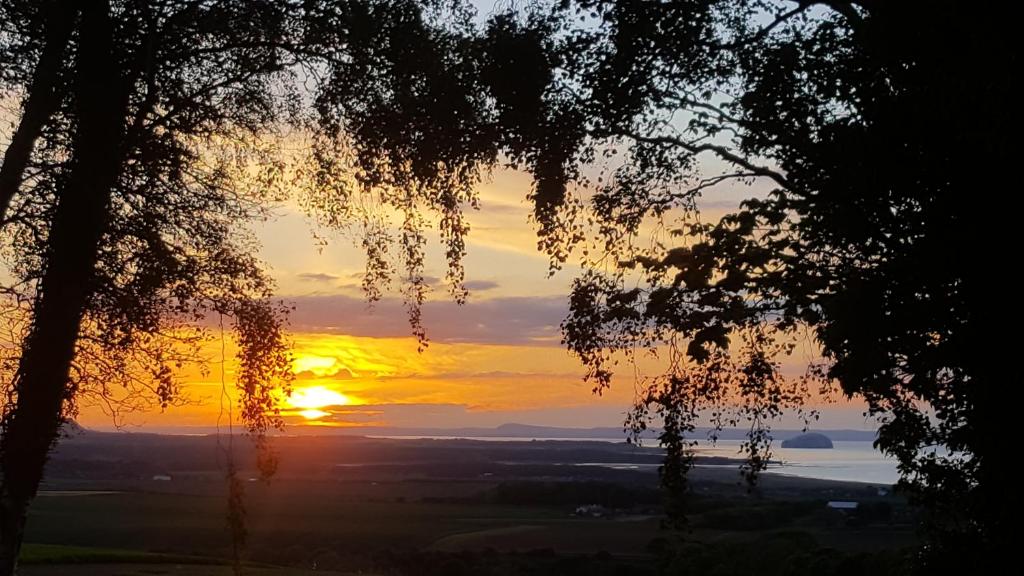 a sunset seen through the branches of trees at Eco Indigo in Dunbar