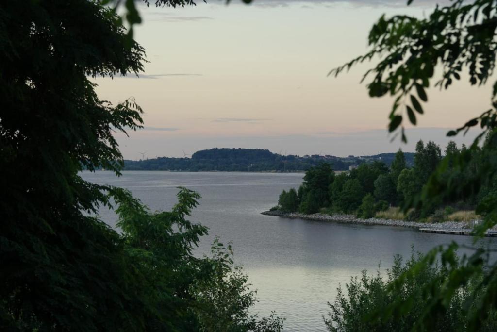 vistas a un río con árboles a lo lejos en Ferienwohnung zum See en Görlitz