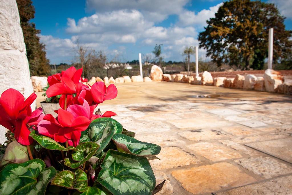 Fotografie z fotogalerie ubytování LiberaMente - Trulli & Quiete v destinaci Locorotondo