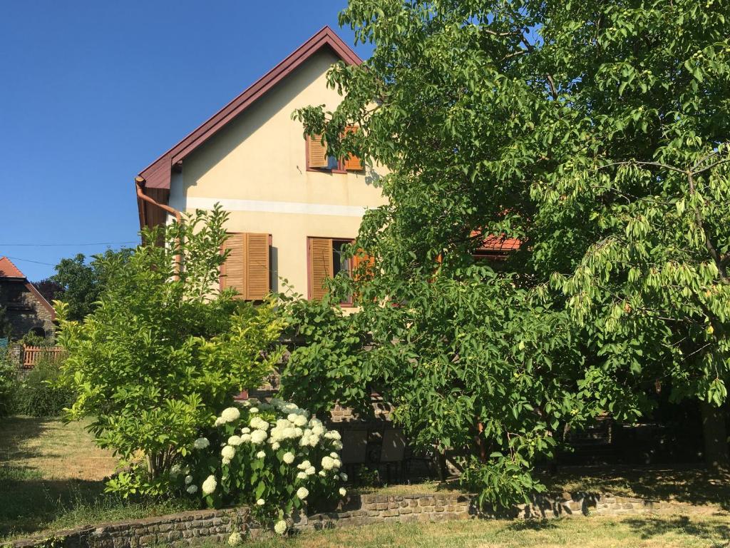 Vonkajšia záhrada v ubytovaní Iris Vendégház