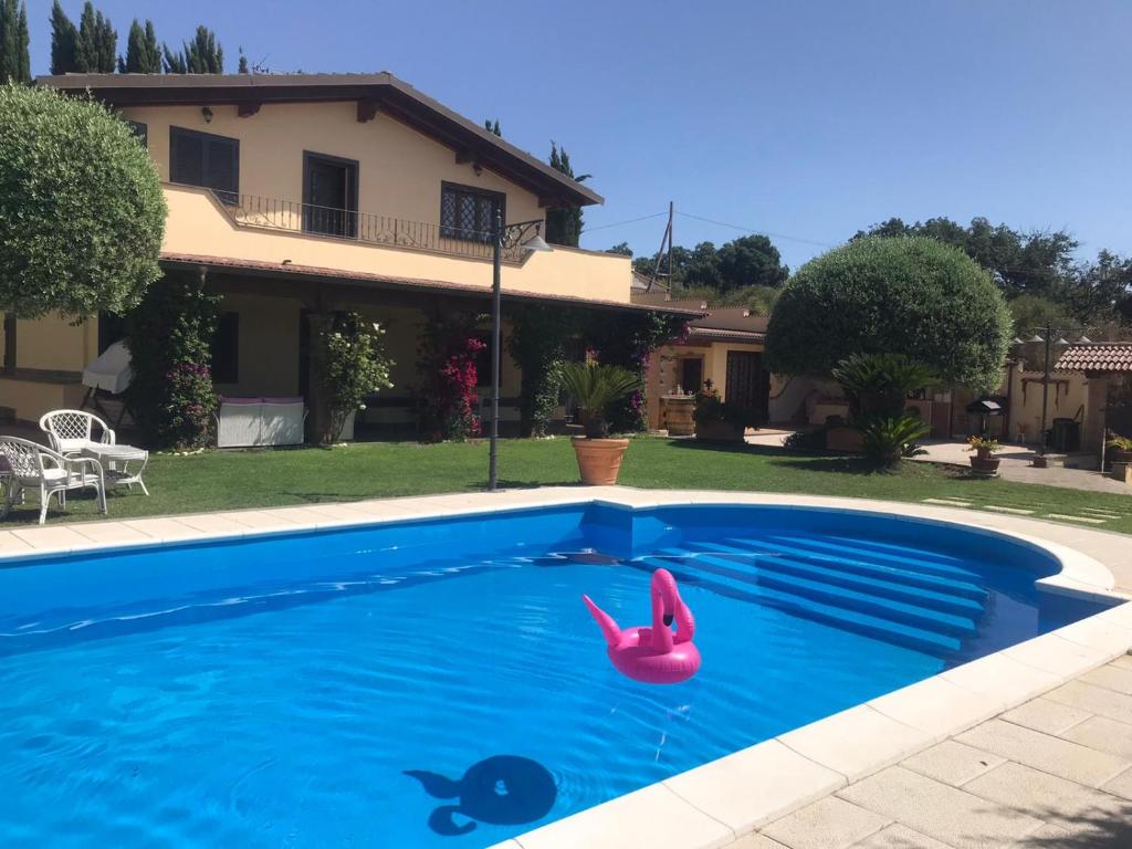 uma piscina com um pato de borracha rosa na água em Appartamento VILLA ADRY em Roma