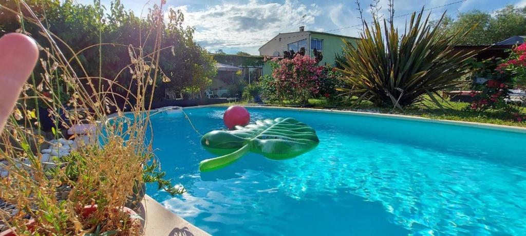 Le Jardin Serein - Housity